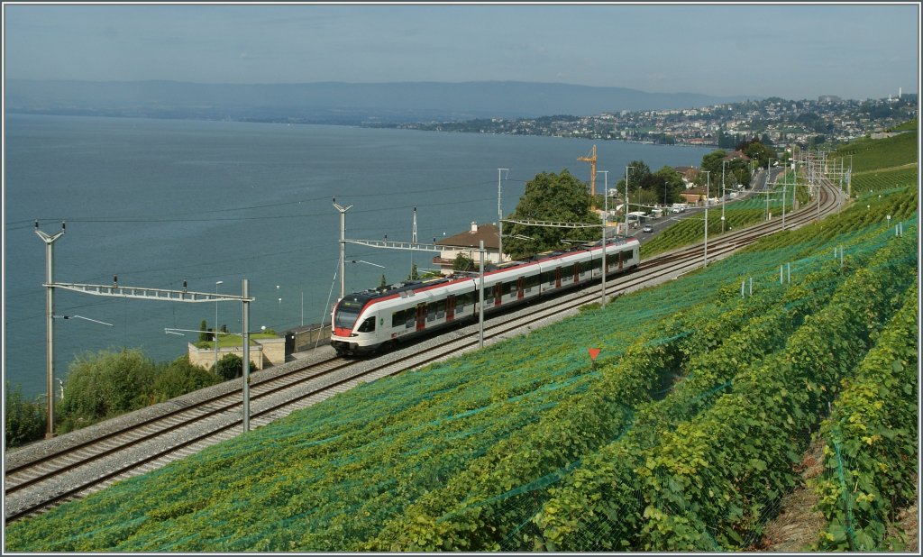 Ein Flirt im Lavaux. 29. Aug. 2012