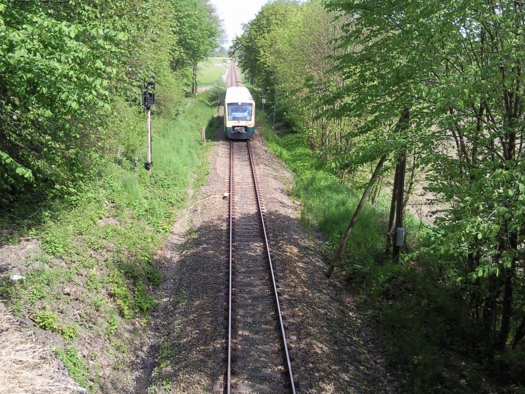 Triebwagen von der Pressnitztalbahn in Putbus am 20.05.2012

