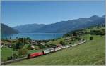 SBB Re 460 mit IC bei Spiez.