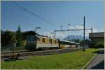 MOB Goldenpass GDe 4/4 mit eine Panoramic Express in Sch�nried am 23.09.2011