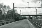 Eine SBB Re 6/6 auf der schmalspurigen RhB (Dreischengleis) bei der Durchfahrt Felsberg.